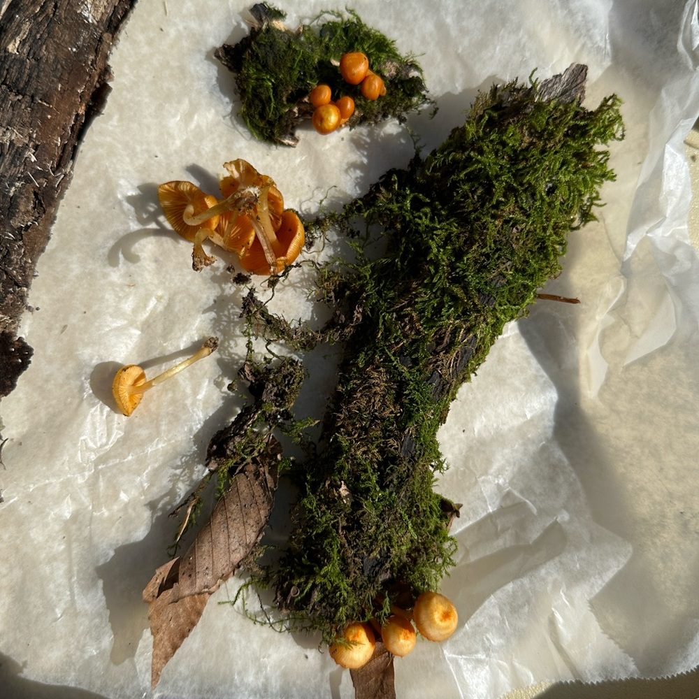 Meet your Posher, Jill